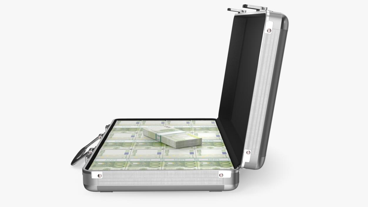 Aluminum Case Full of Euro Money 3D