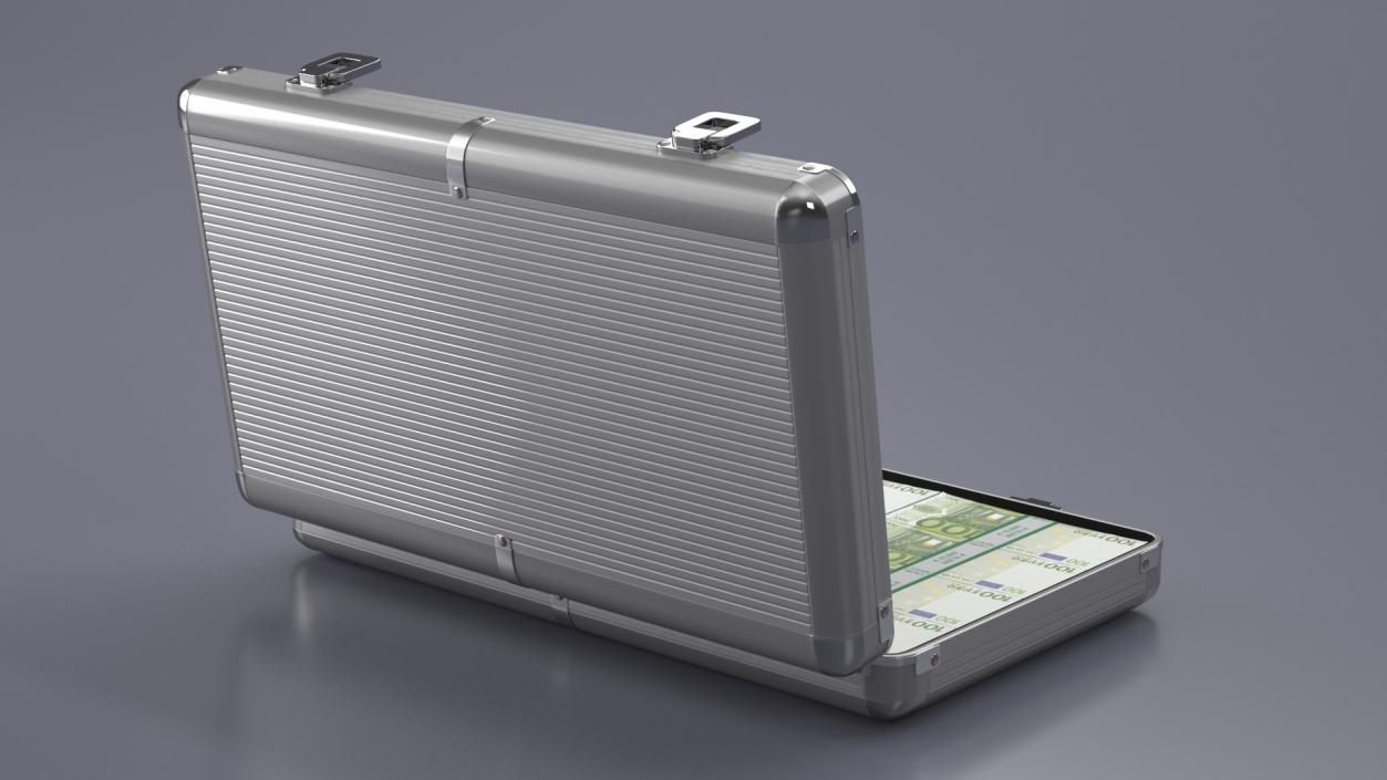 Aluminum Case Full of Euro Money 3D