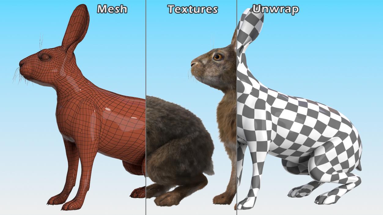 Land Mammals Fur Collection 3 3D model