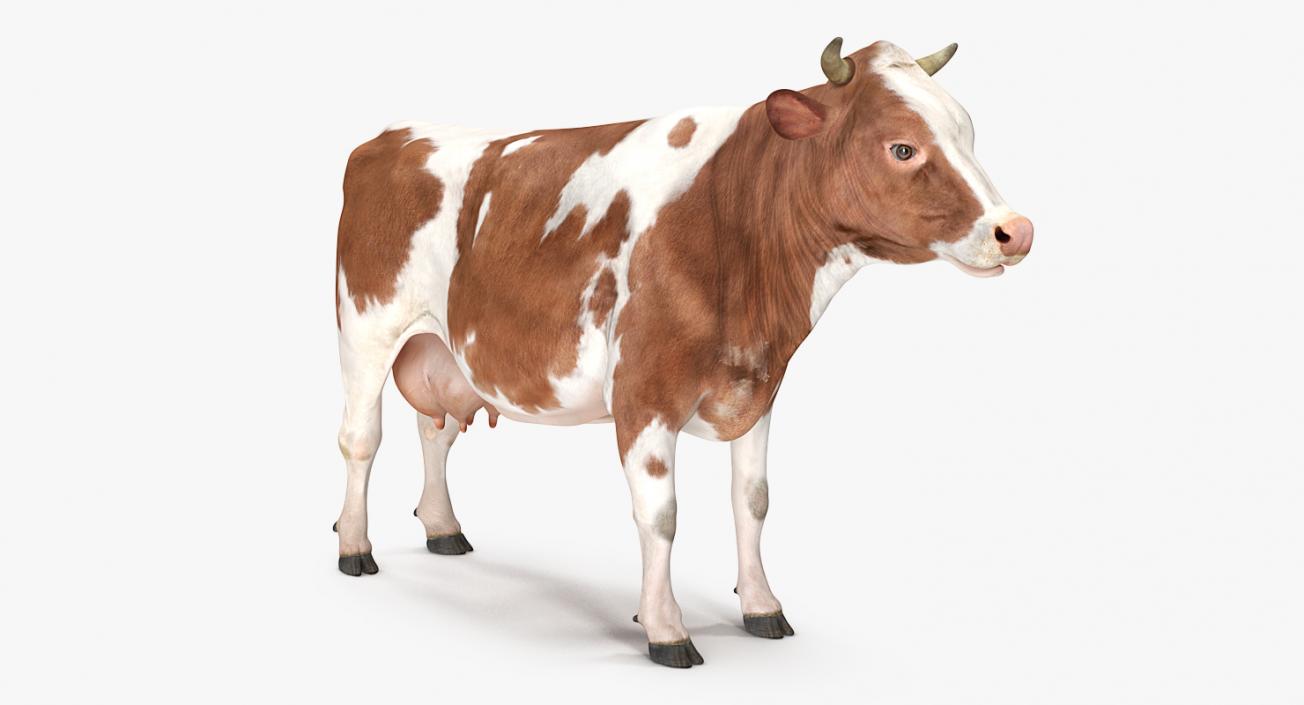 3D model Cow Rigged