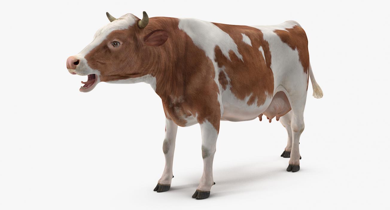 3D model Cow Rigged