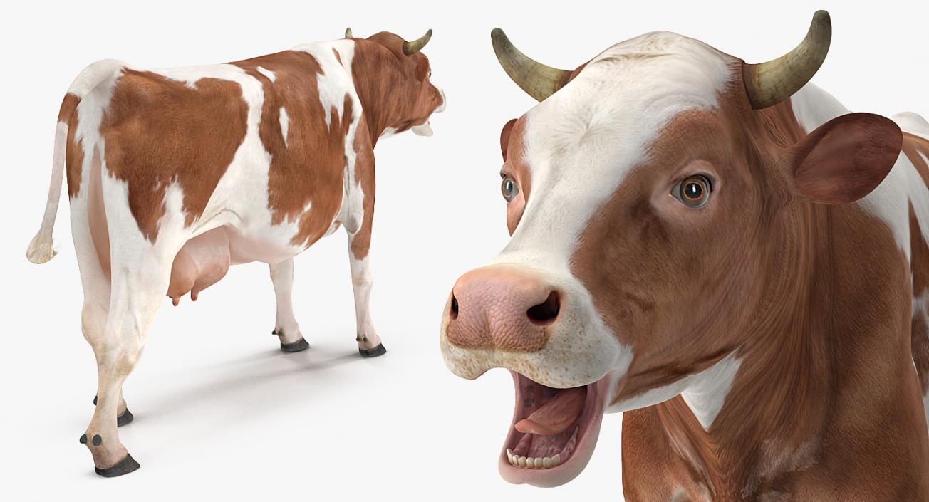 3D model Cow Rigged