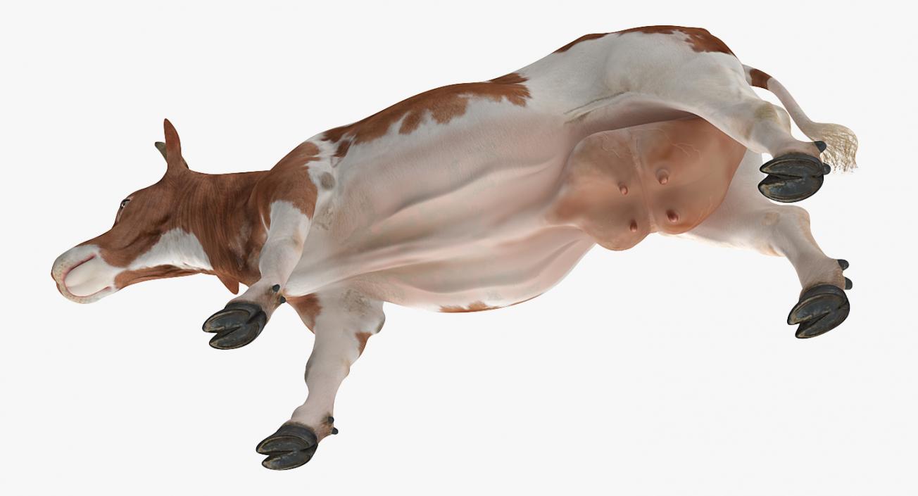 3D model Cow Rigged