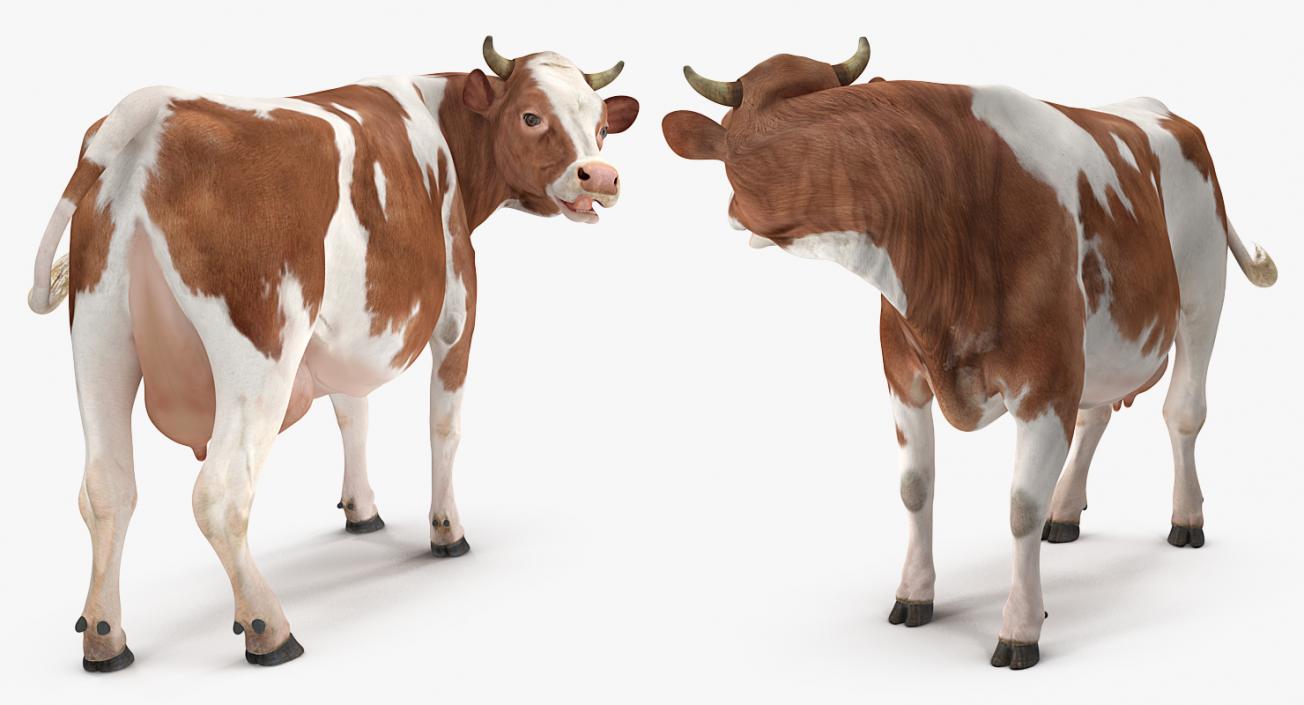 3D model Cow Rigged