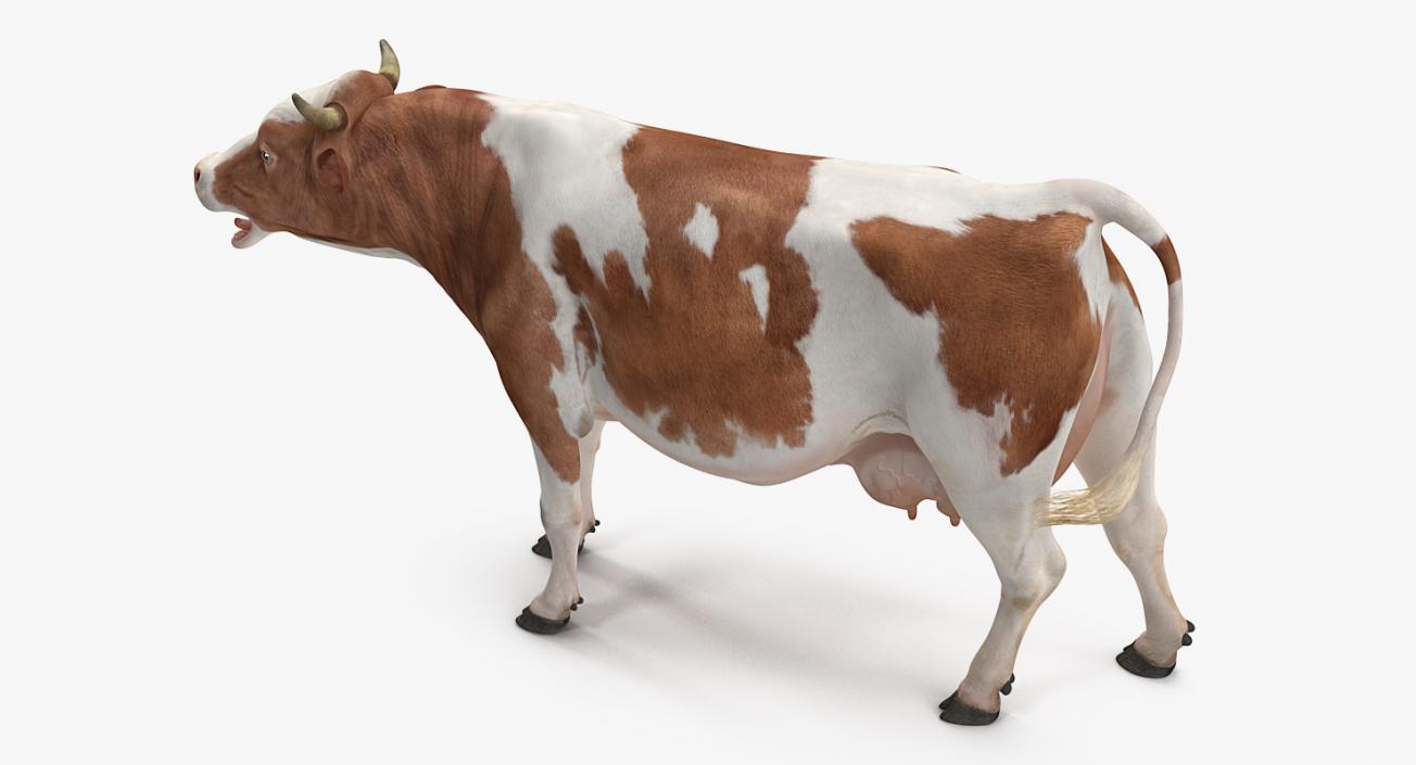 3D model Cow Rigged