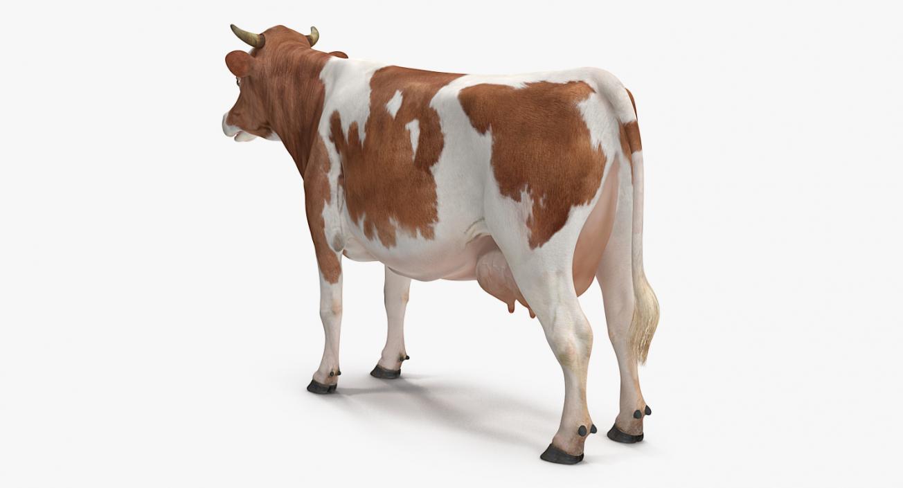 3D model Cow Rigged