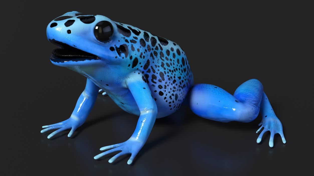 3D Blue Poison Dart Frog