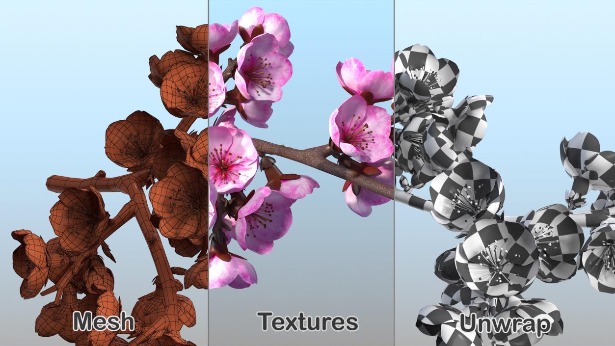 3D Sakura Tree Branch with Pink Flowers