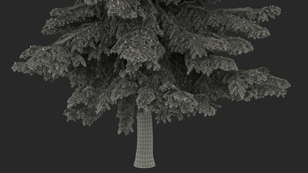 3D Cedrus Libani Blue Tree model