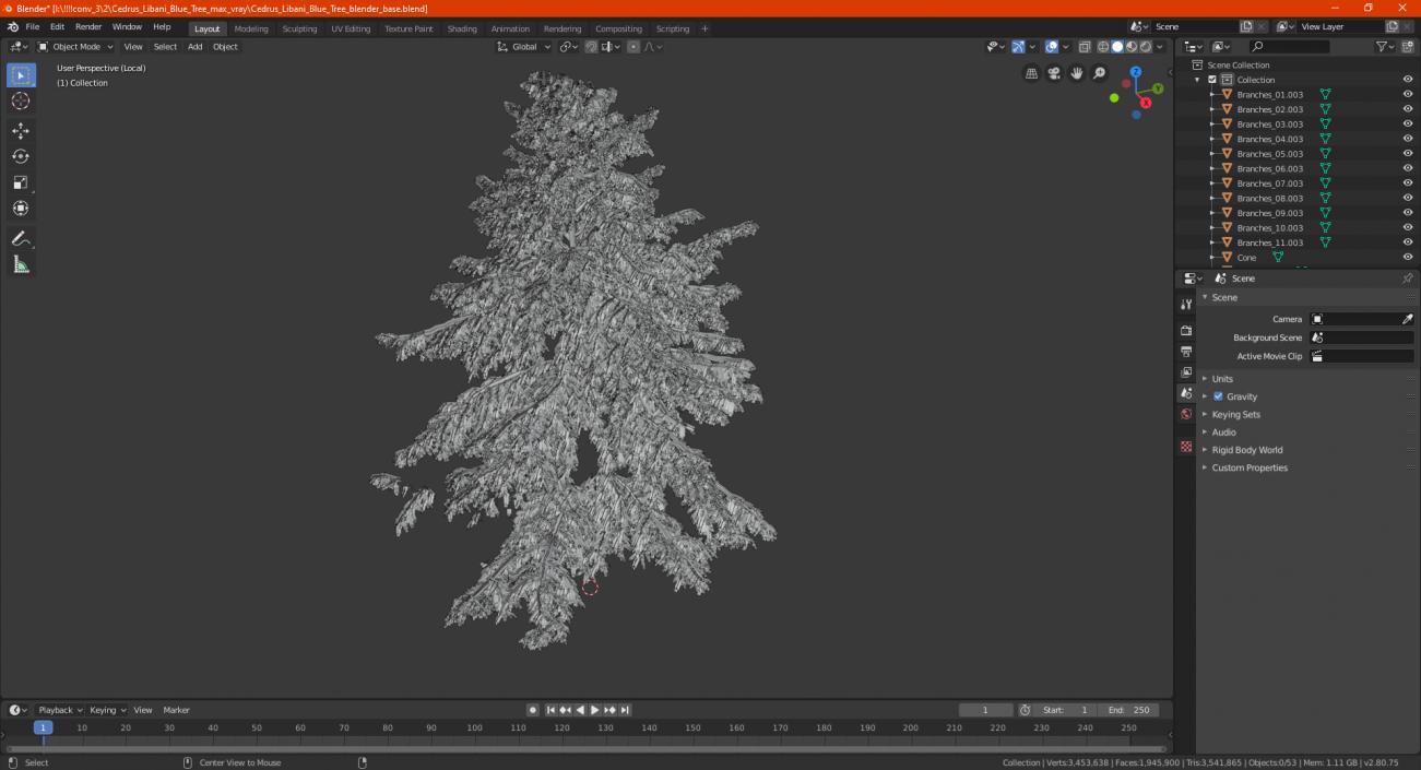 3D Cedrus Libani Blue Tree model