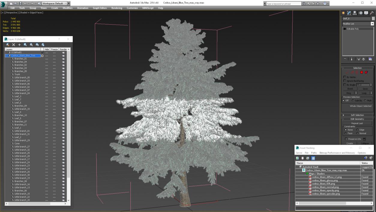 3D Cedrus Libani Blue Tree model