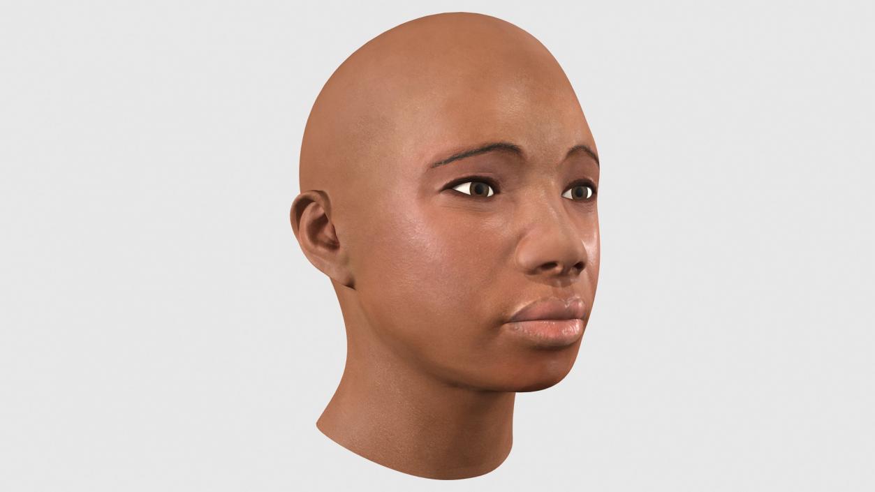 3D African American Female Head model