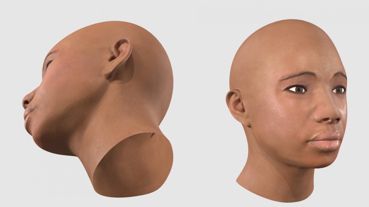 3D African American Female Head model