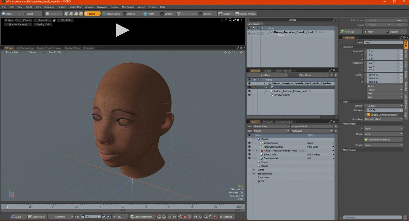 3D African American Female Head model