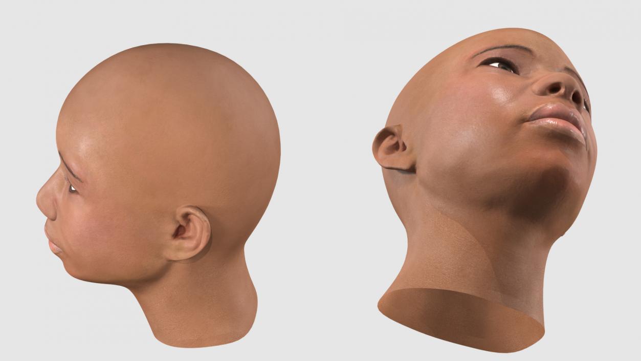 3D African American Female Head model