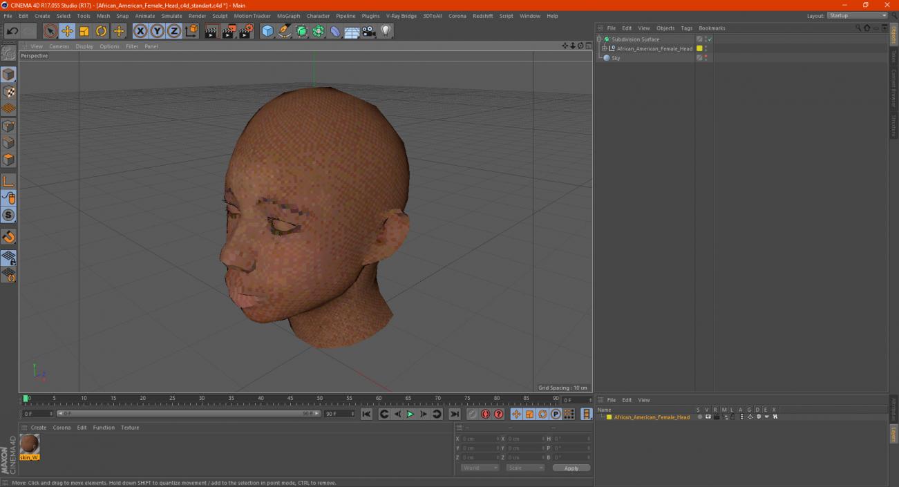 3D African American Female Head model