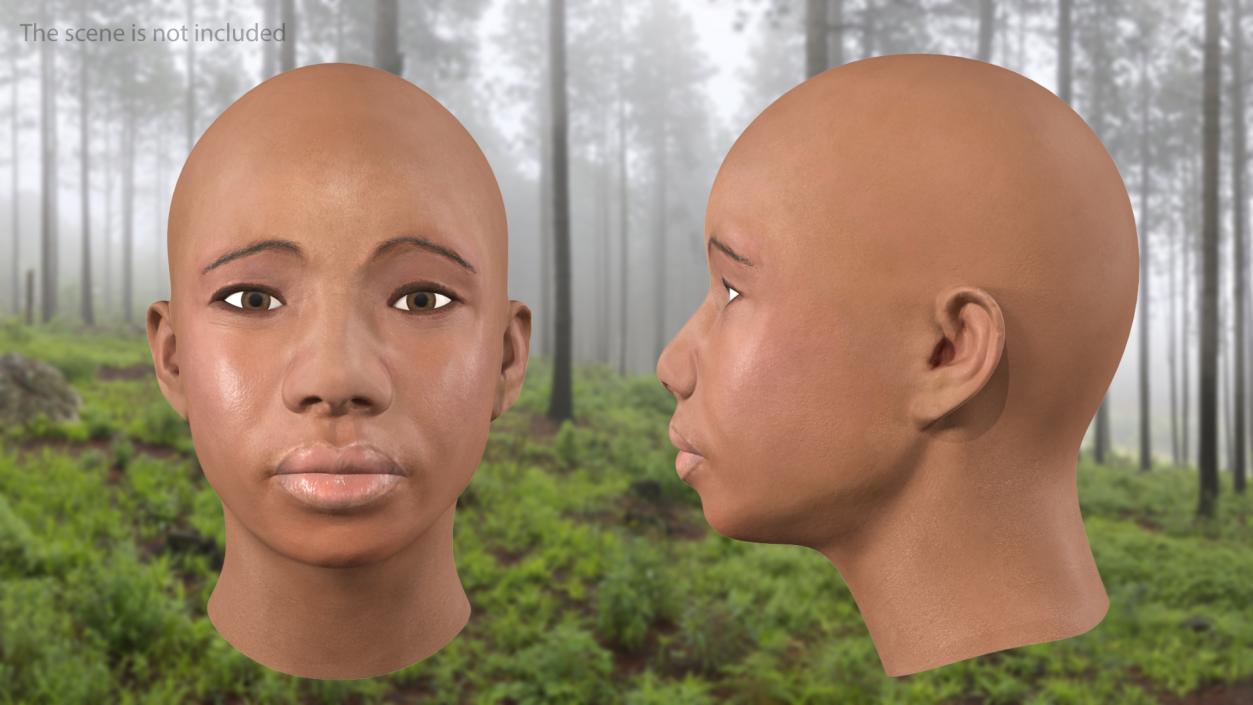 3D African American Female Head model