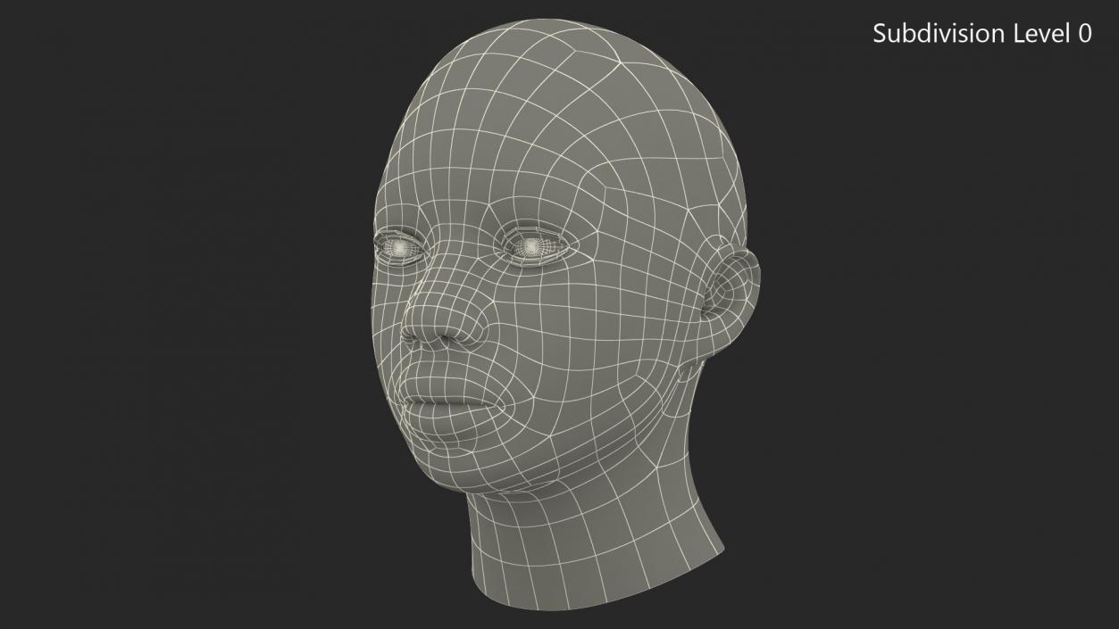 3D African American Female Head model