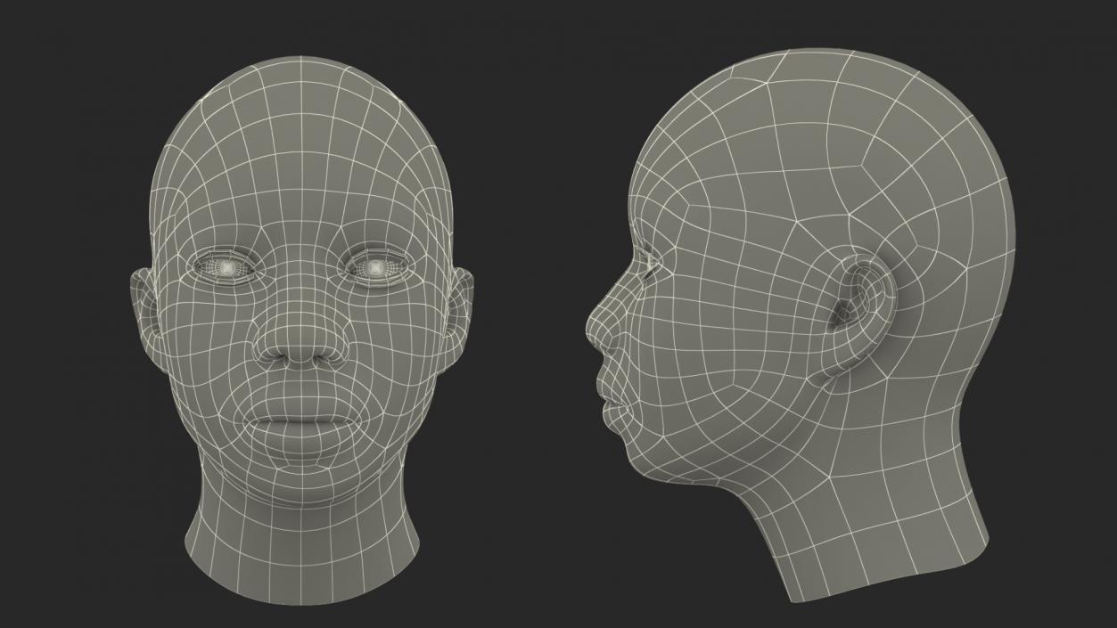 3D African American Female Head model