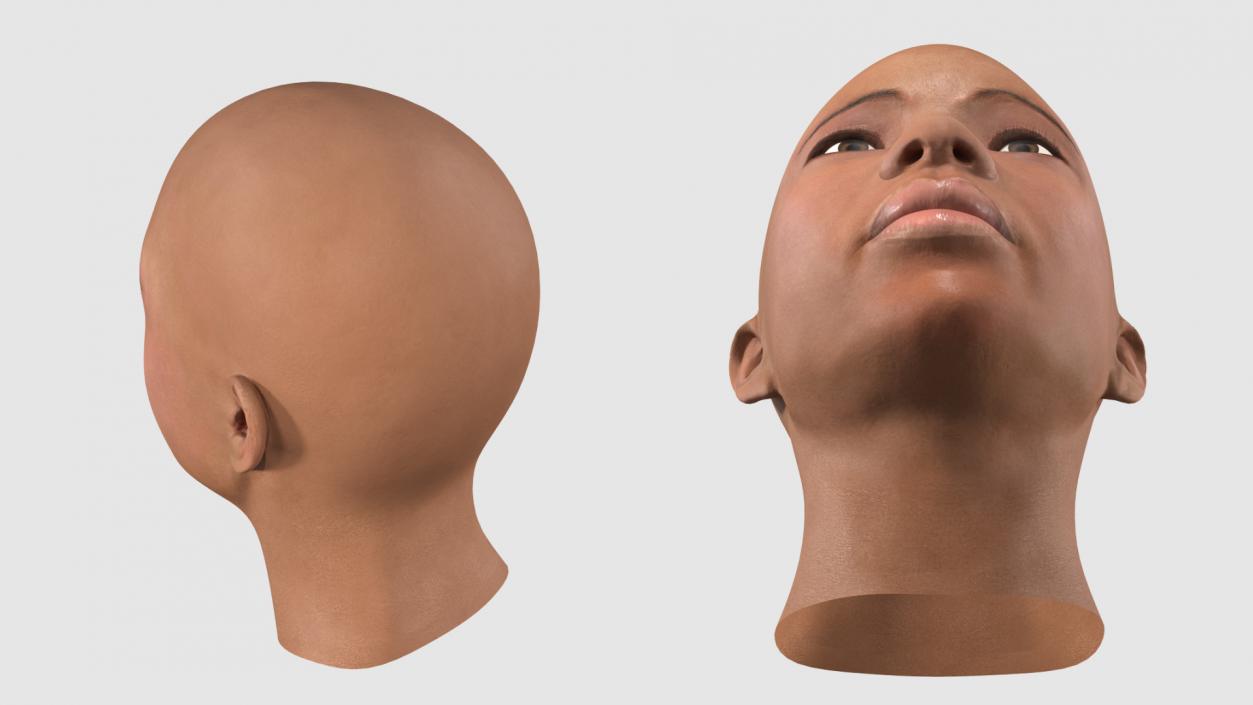 3D African American Female Head model