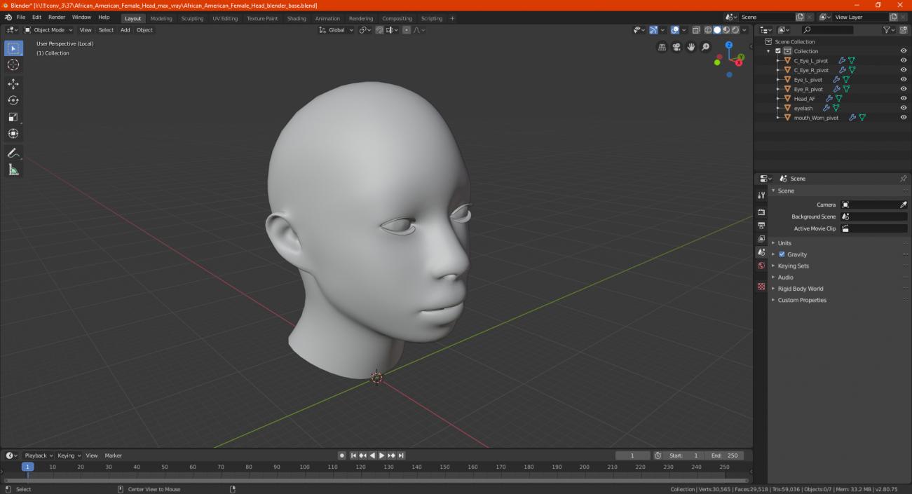 3D African American Female Head model