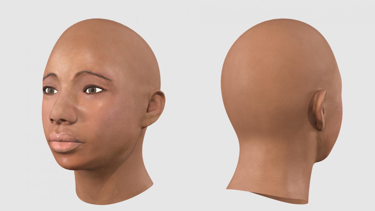 3D African American Female Head model