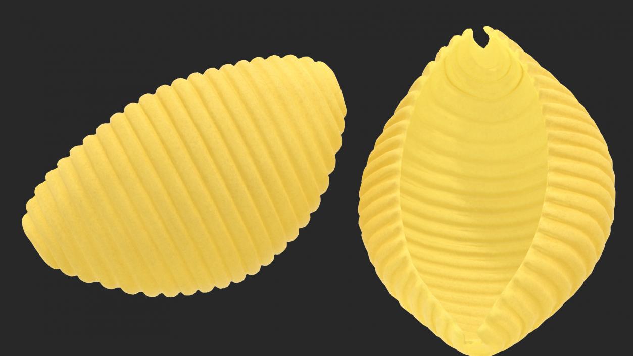 Dry Uncooked Pasta Set 3D