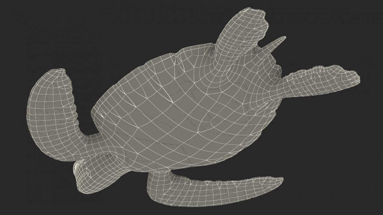 Realistic Sea Turtle Rigged 3D