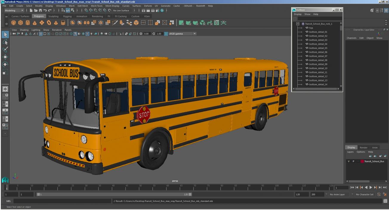 3D Transit School Bus model