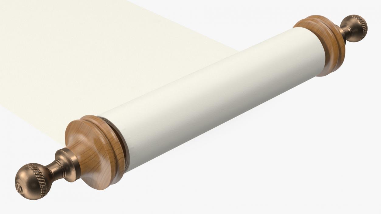 Unfolded Blank Paper Scroll 3D