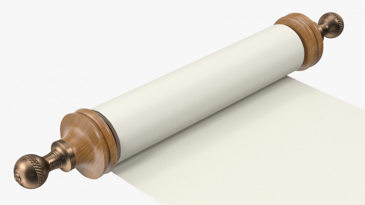 Unfolded Blank Paper Scroll 3D