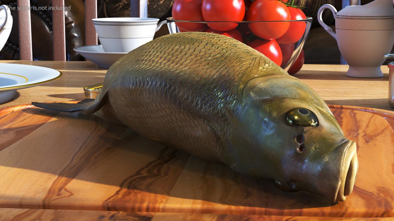 3D model Caught Bronze Bream Fish Lying