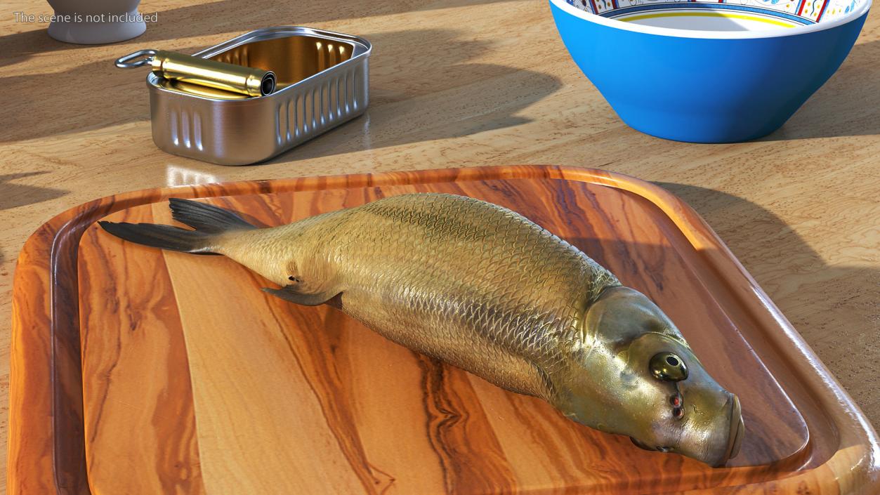 3D model Caught Bronze Bream Fish Lying