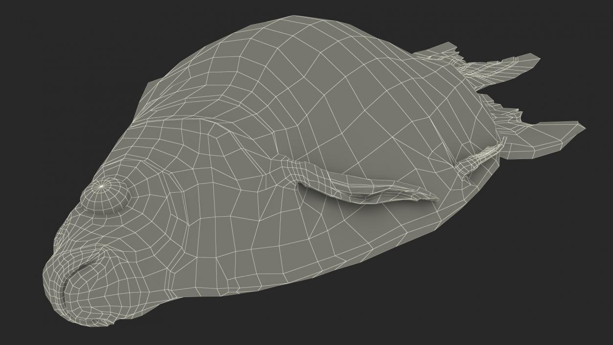 3D model Caught Bronze Bream Fish Lying