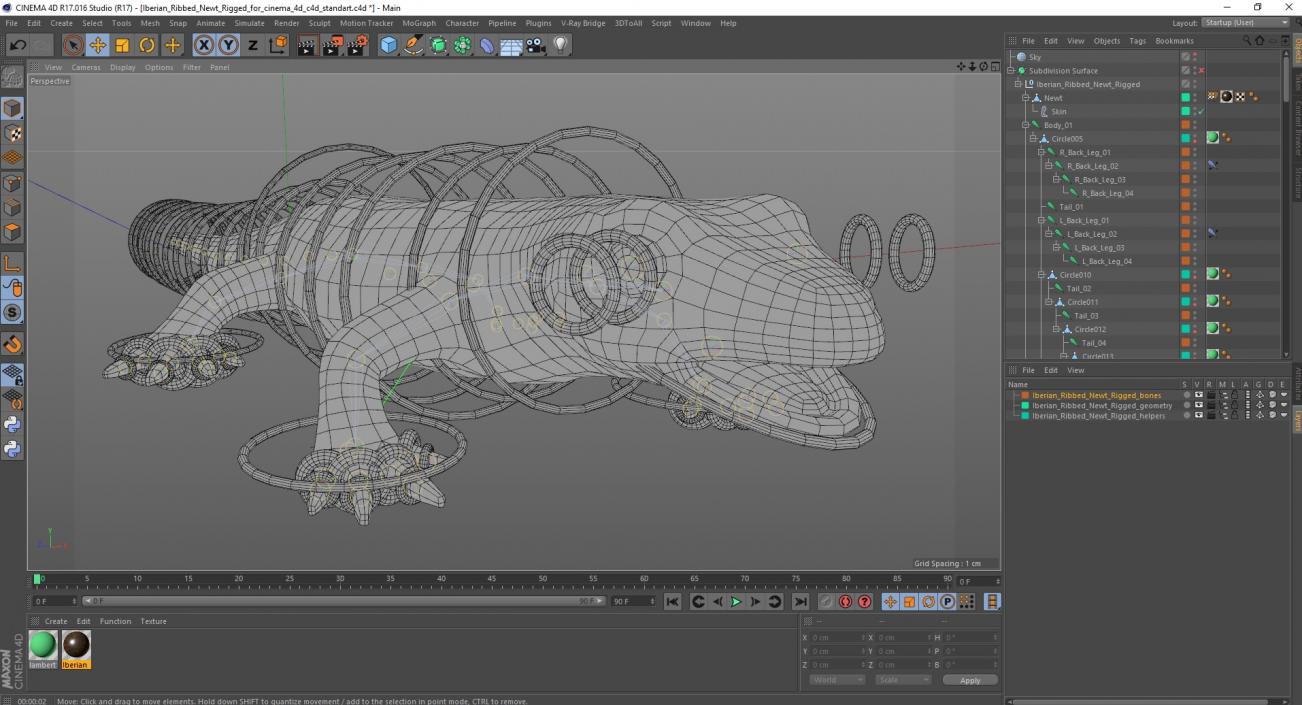 3D model Iberian Ribbed Newt Rigged for Cinema 4D