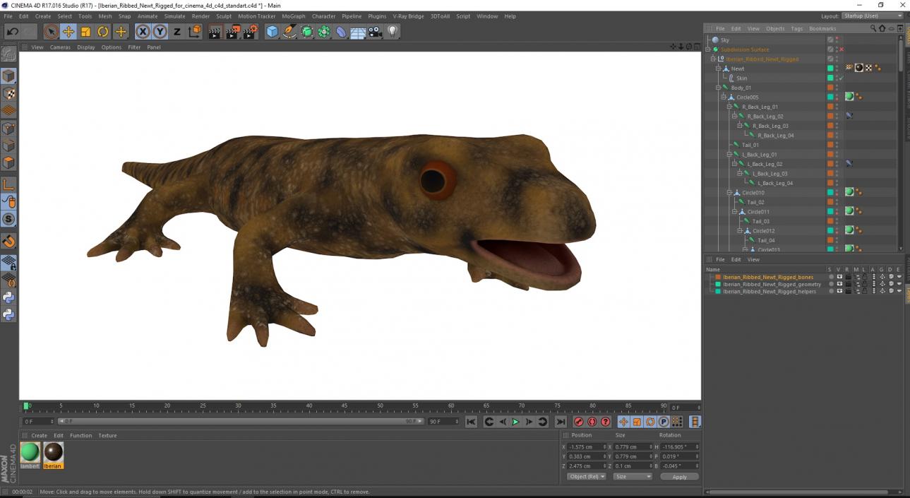 3D model Iberian Ribbed Newt Rigged for Cinema 4D