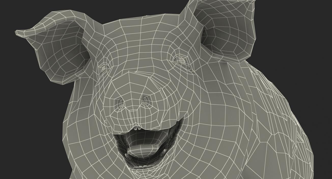 3D Pig Sow Landrace Walking Pose with Fur model