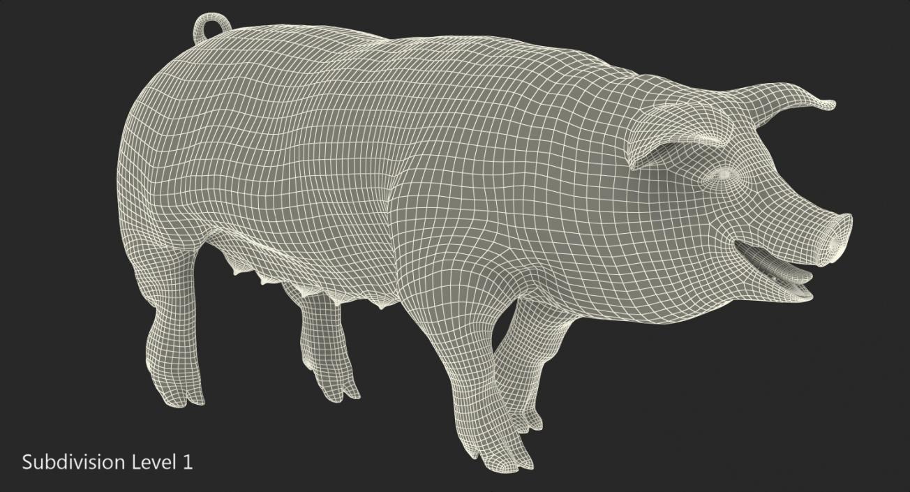 3D Pig Sow Landrace Walking Pose with Fur model