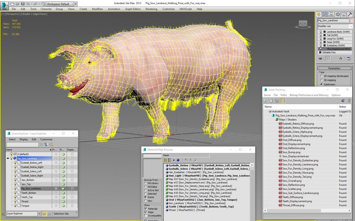 3D Pig Sow Landrace Walking Pose with Fur model