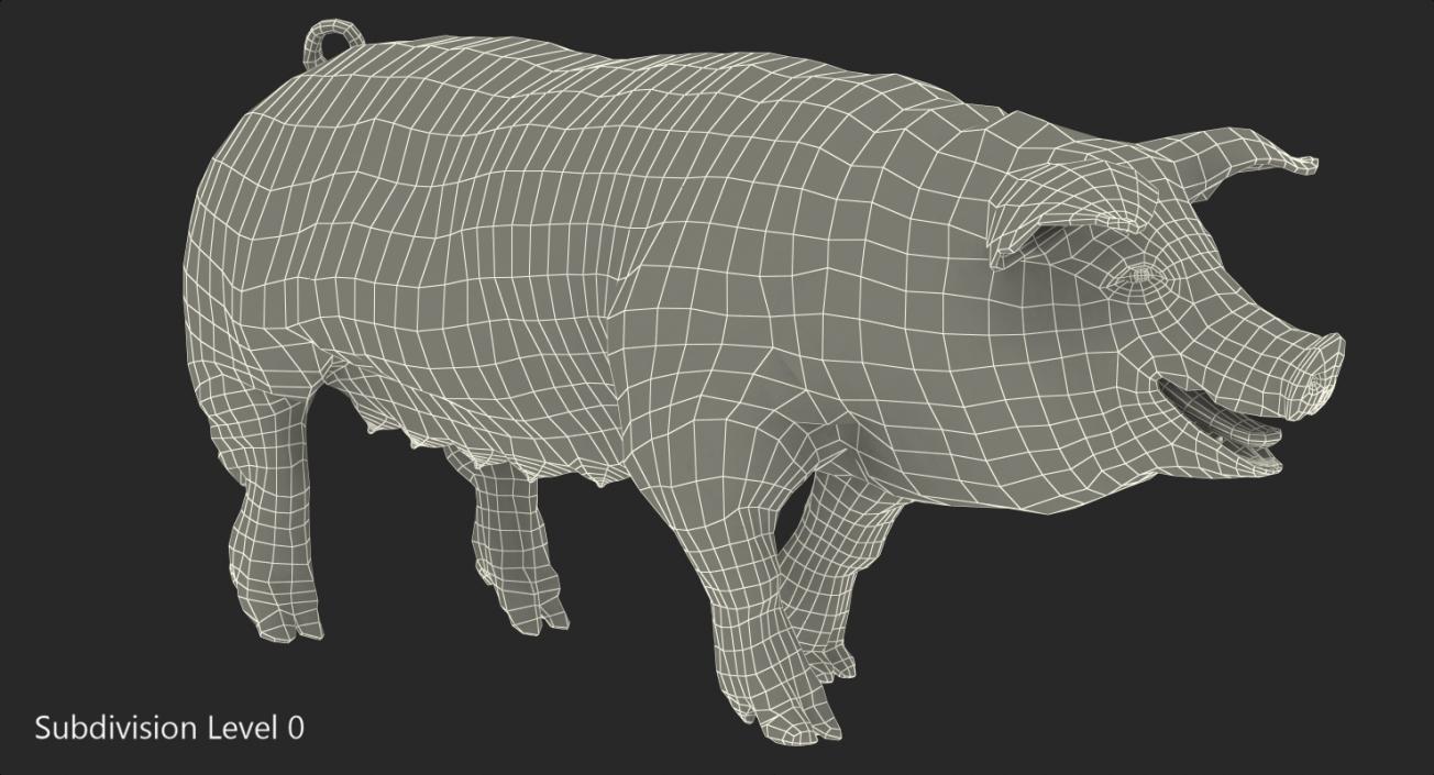 3D Pig Sow Landrace Walking Pose with Fur model