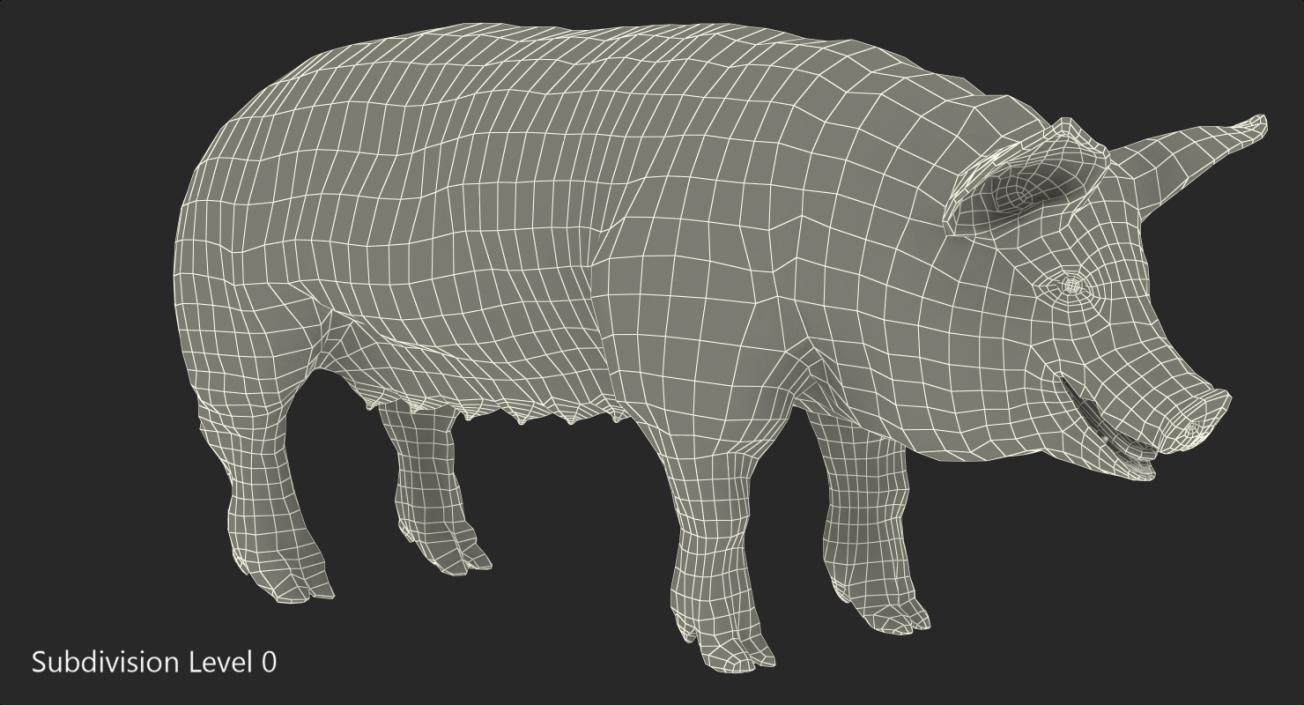 3D model Pig Sow Peitrain with Fur