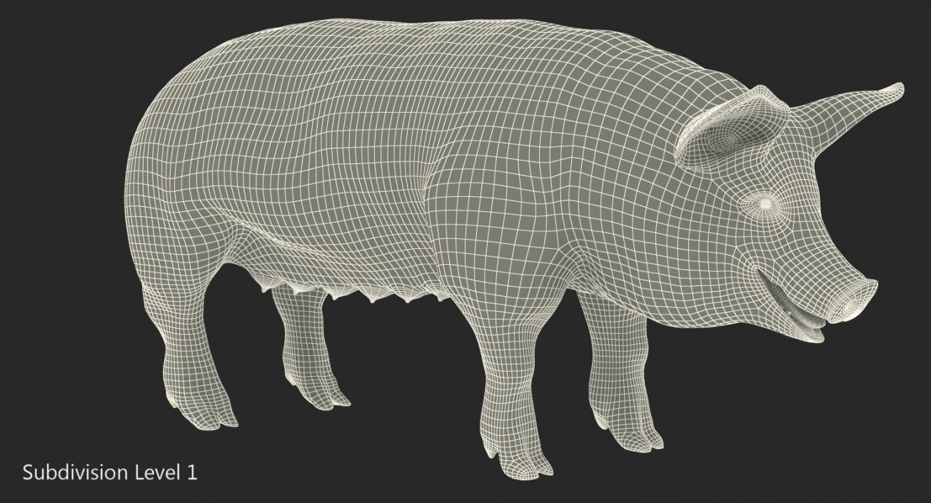 3D model Pig Sow Peitrain with Fur