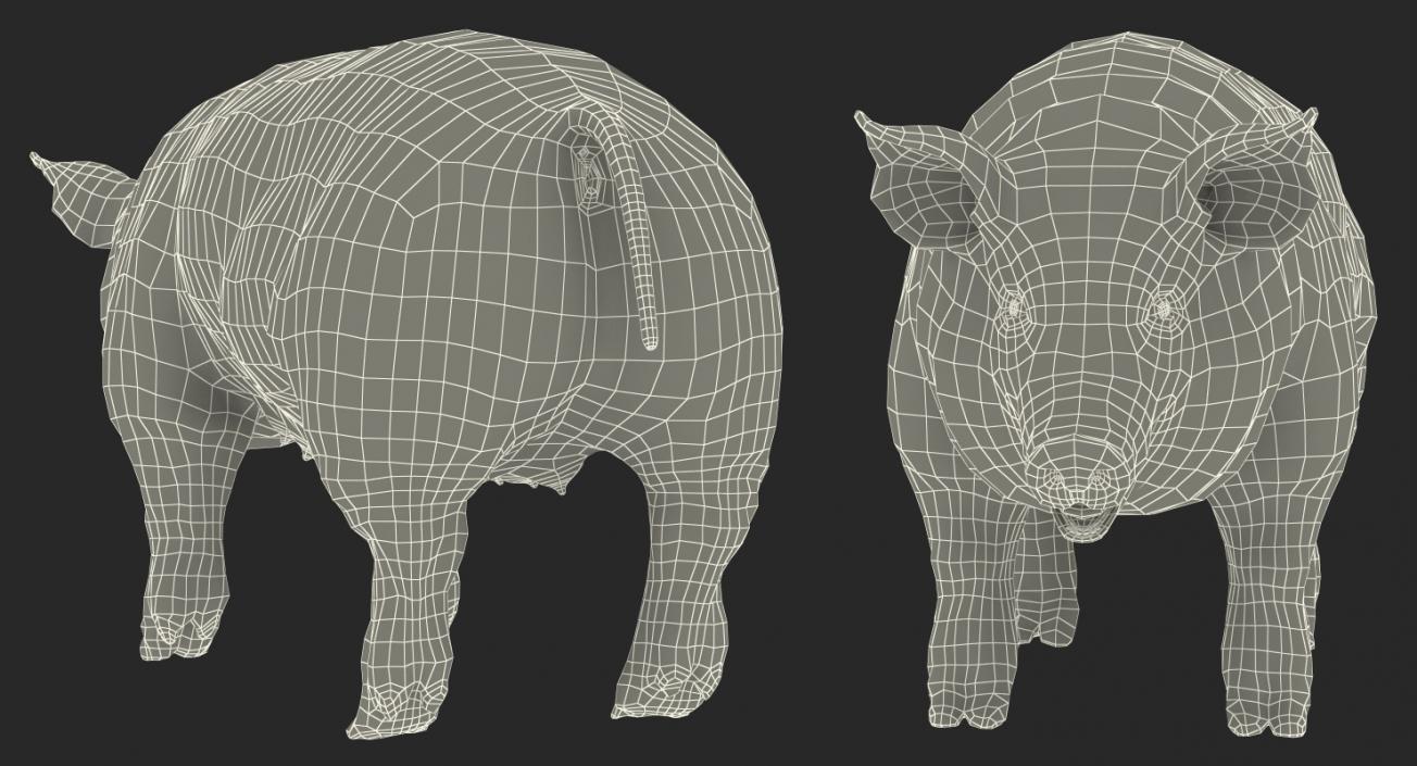 3D model Pig Sow Peitrain with Fur