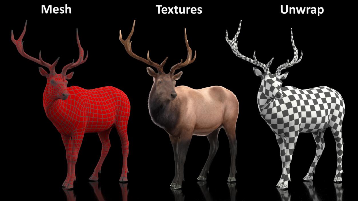 3D Realistic Elk Standing Pose with Fur