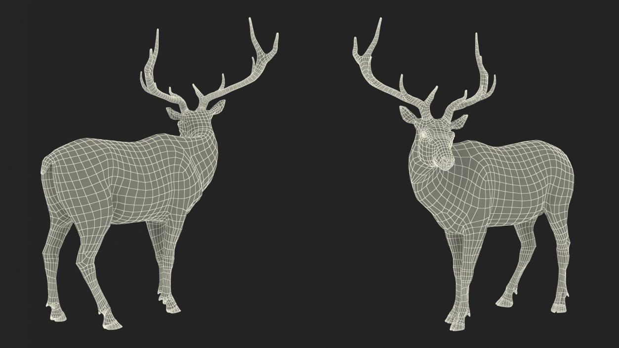 3D Realistic Elk Standing Pose with Fur