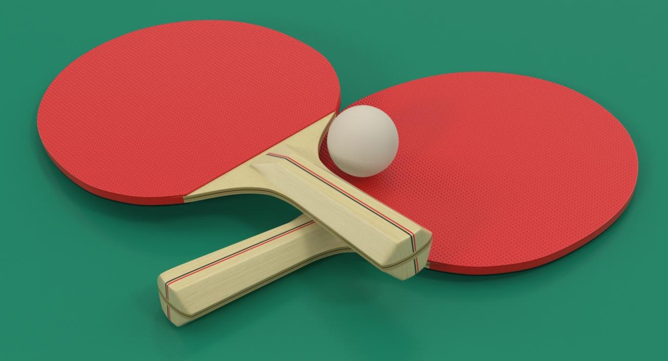 3D model Ping Pong Table with Paddle Generic