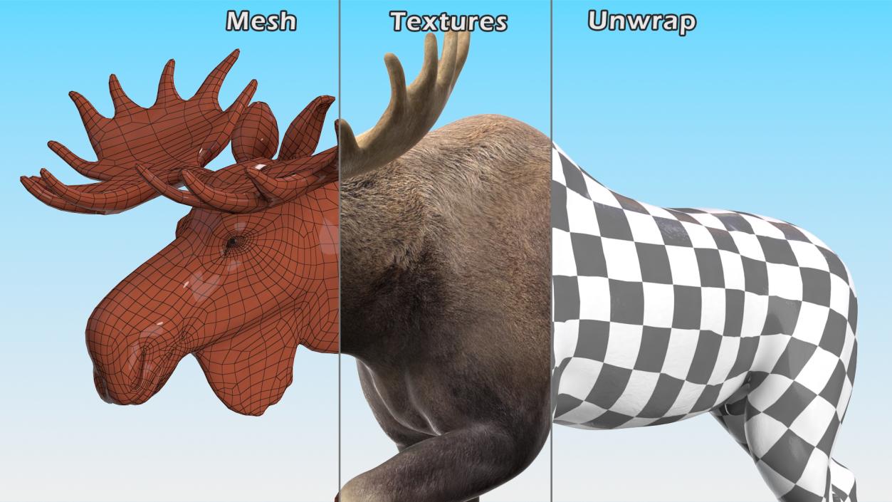 3D model Land Mammals Collection 3