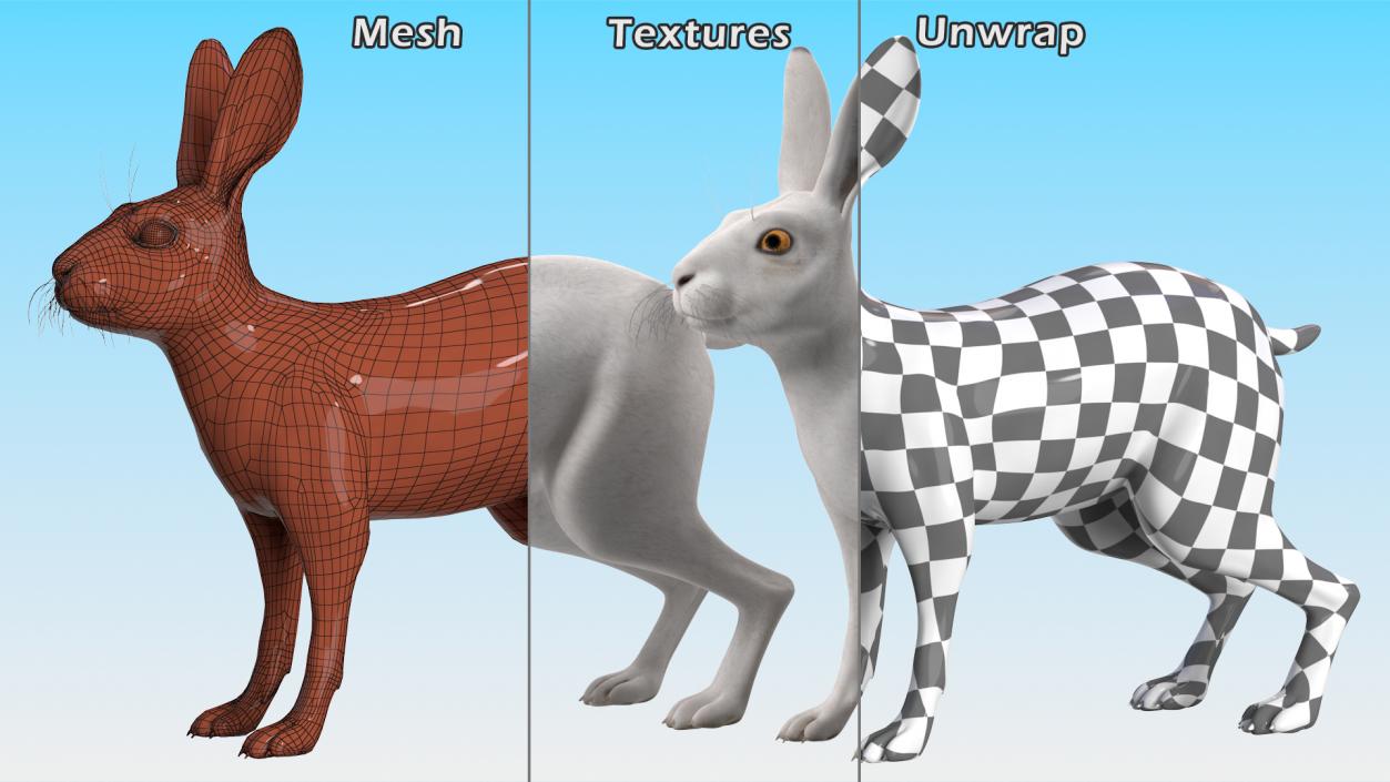 3D model Land Mammals Collection 3