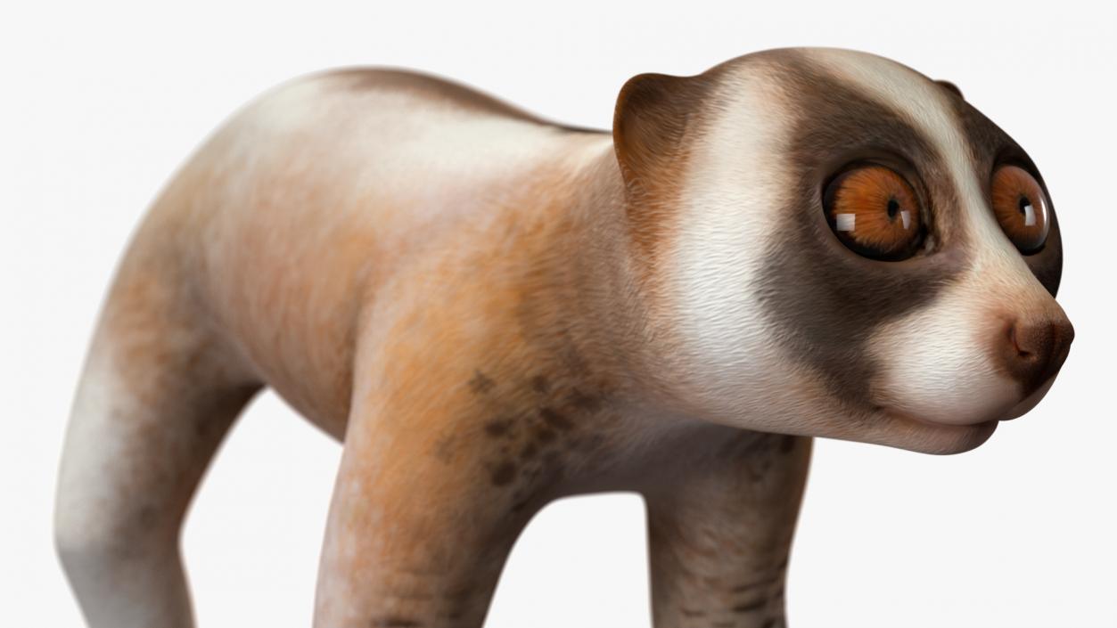 3D model Land Mammals Collection 3