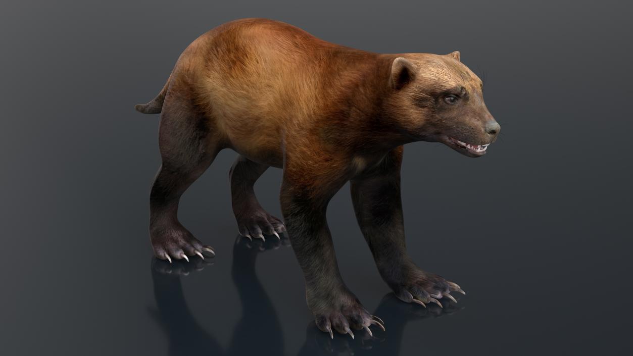 3D model Land Mammals Collection 3